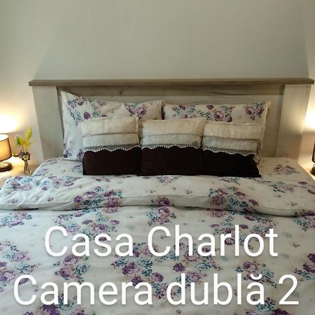 布拉索夫Casa Charlot公寓 外观 照片