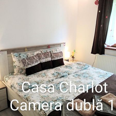 布拉索夫Casa Charlot公寓 外观 照片
