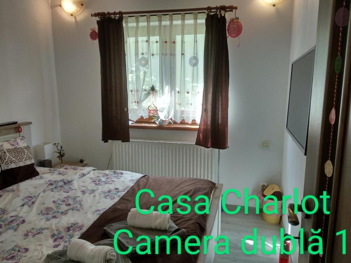 布拉索夫Casa Charlot公寓 外观 照片