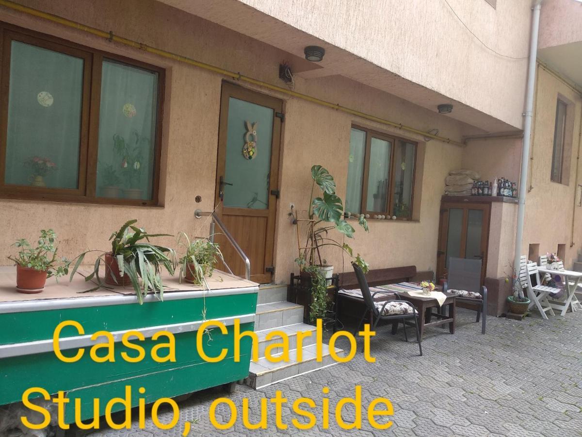 布拉索夫Casa Charlot公寓 外观 照片