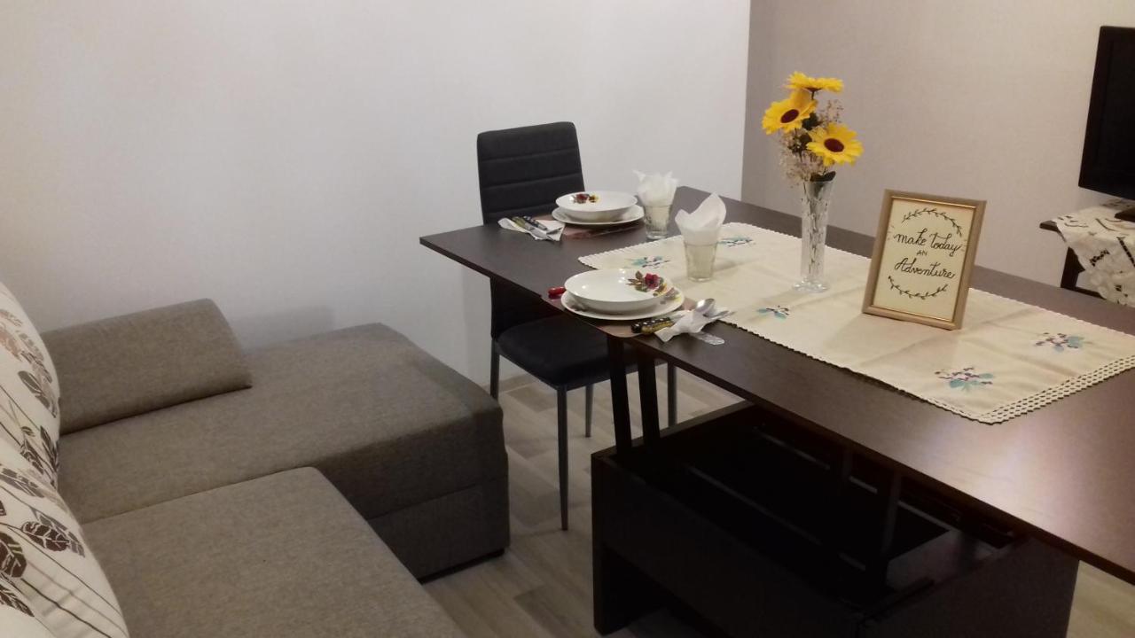 布拉索夫Casa Charlot公寓 外观 照片