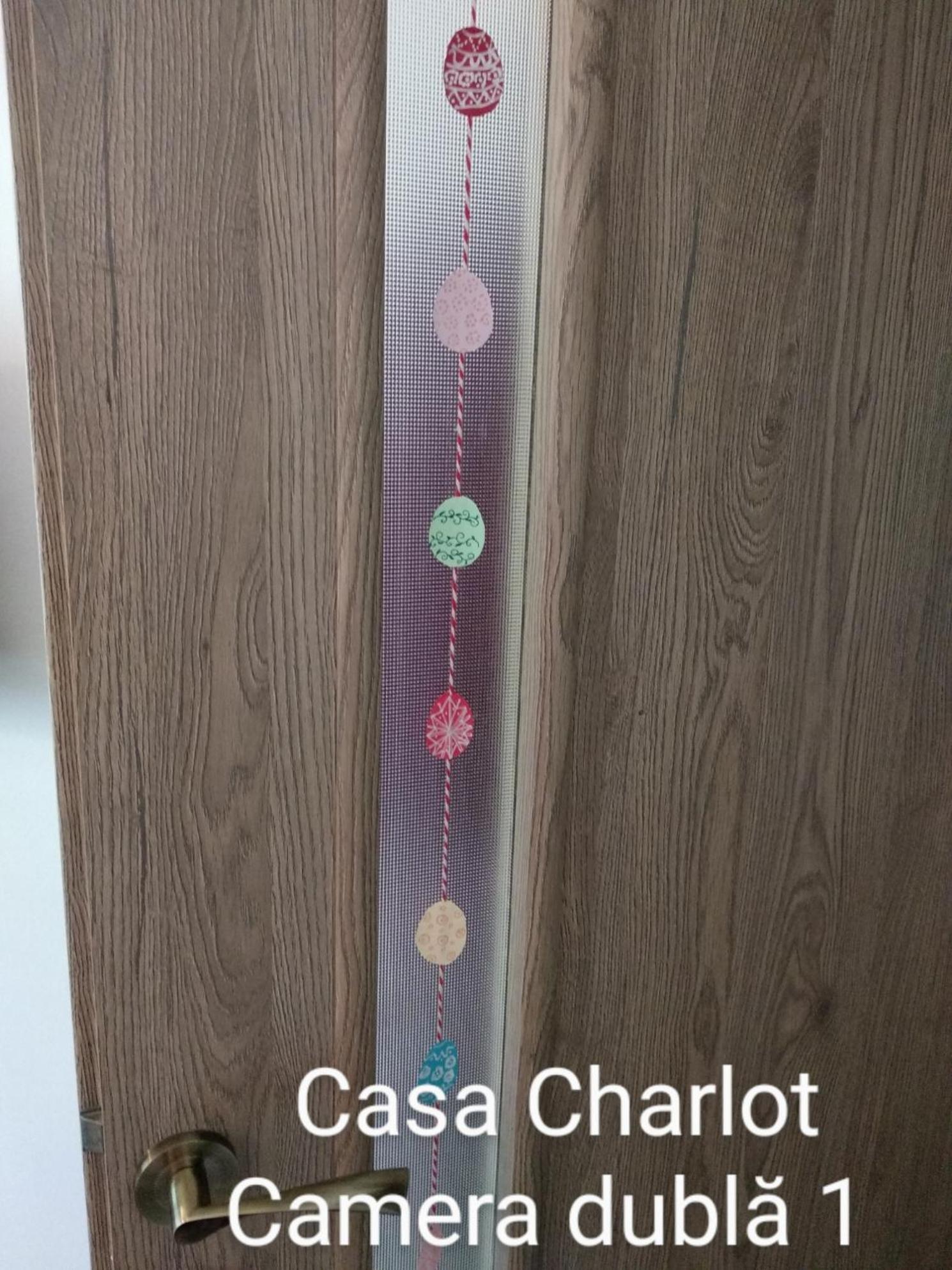 布拉索夫Casa Charlot公寓 外观 照片