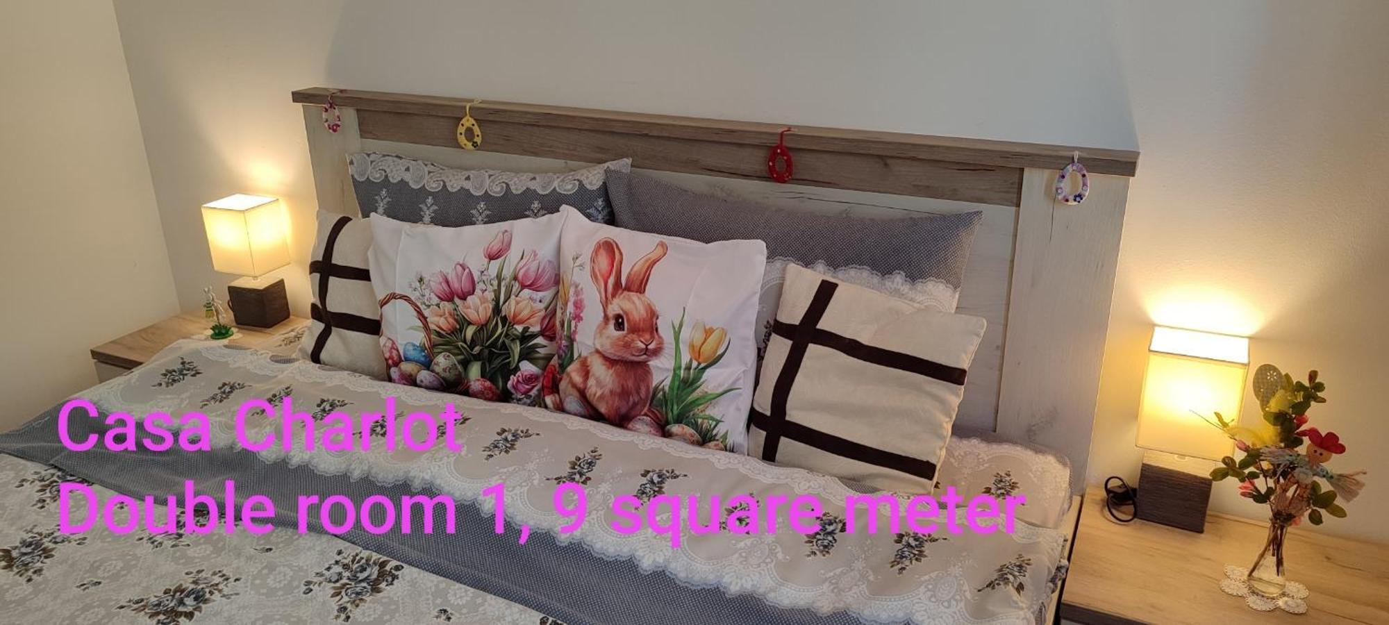 布拉索夫Casa Charlot公寓 外观 照片