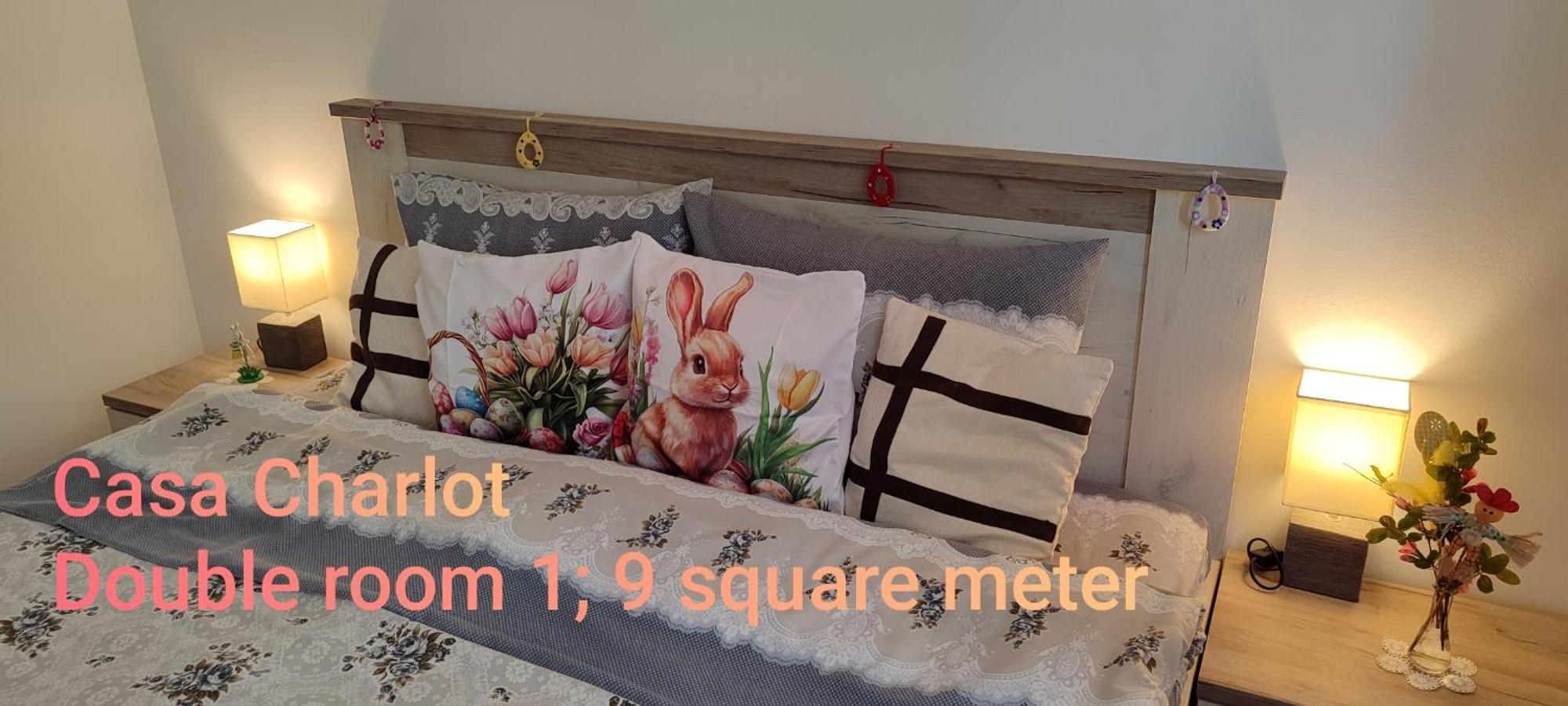 布拉索夫Casa Charlot公寓 外观 照片